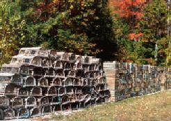 Wall of Traps & Crates