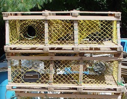 Long Lobster Trap with Yellow Netting