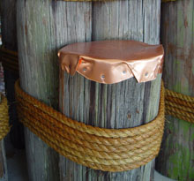 Close up, copper topped mooring or dock piling