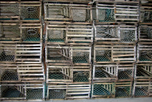 Flat lobster traps used as props for photo shoot